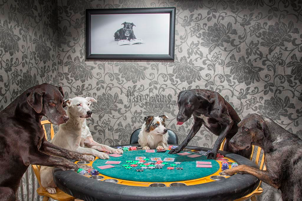 Darcy Evans   Studio of the Month—Dogs Playing Poker.