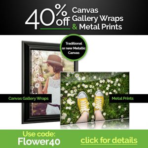 40% off canvas and metal prints